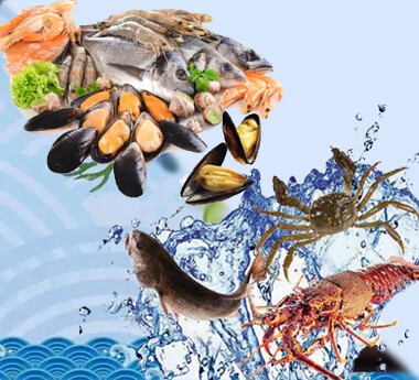 速凍水產(chǎn)品